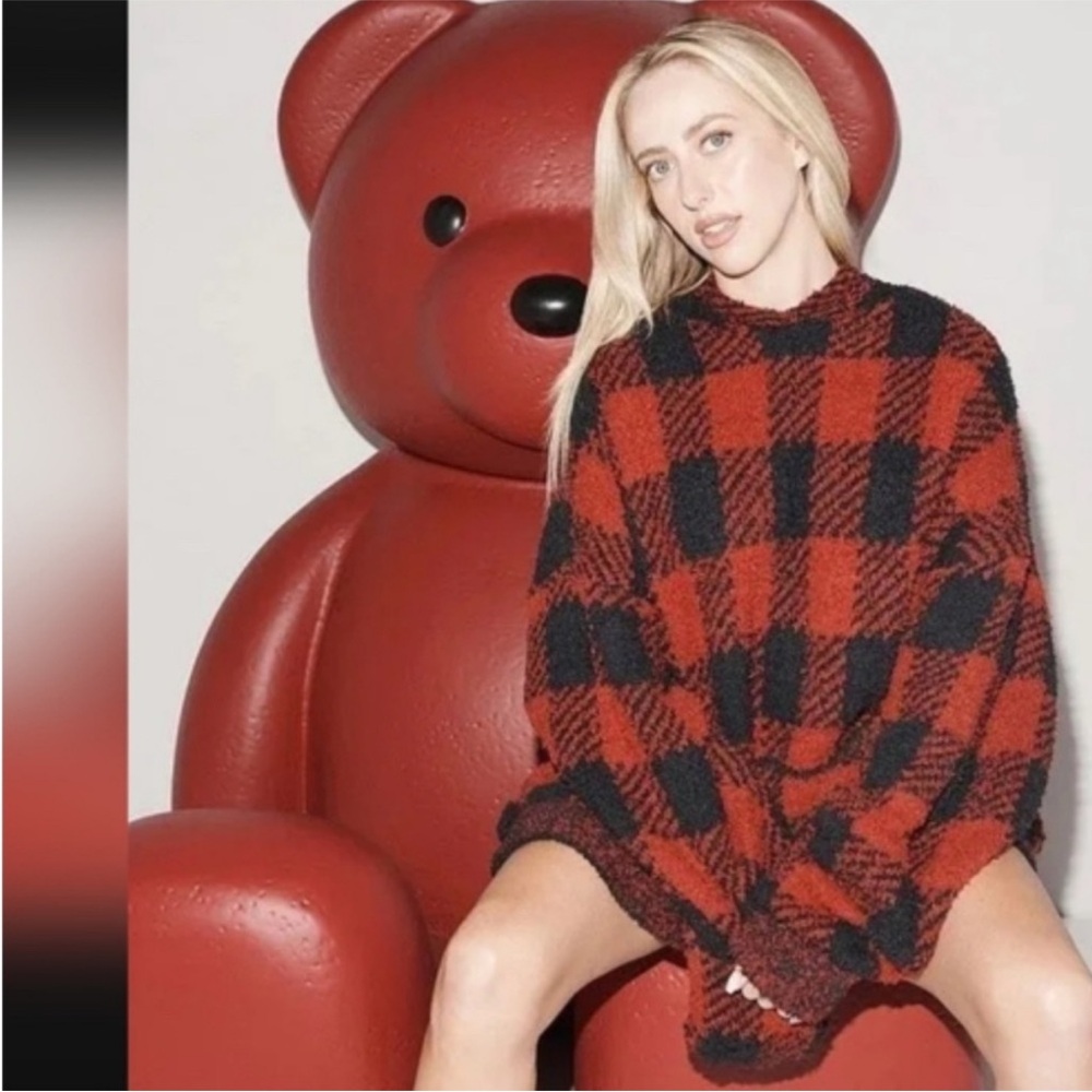 NWT SKIMS Cozy Pullover